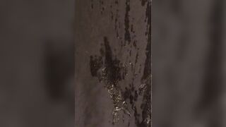 Massive Heavy Loads: Water hose???? #3