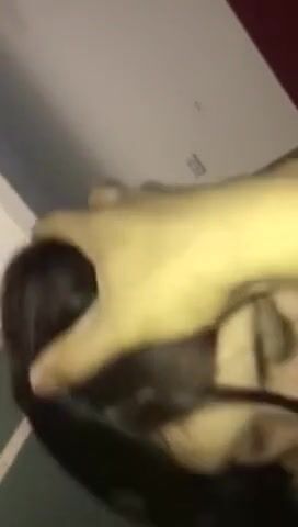 Tiny Teen Slut Giggles After Facial From BBC